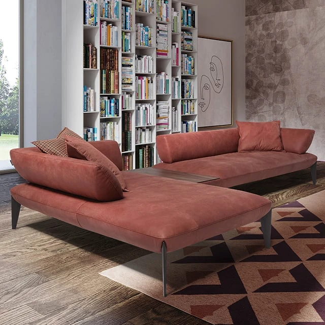 Modern sofas
