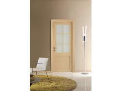 door with frames and frosted glass