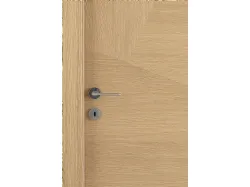 door in oak wood