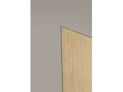 Quality modern flush-to-the-wall doors