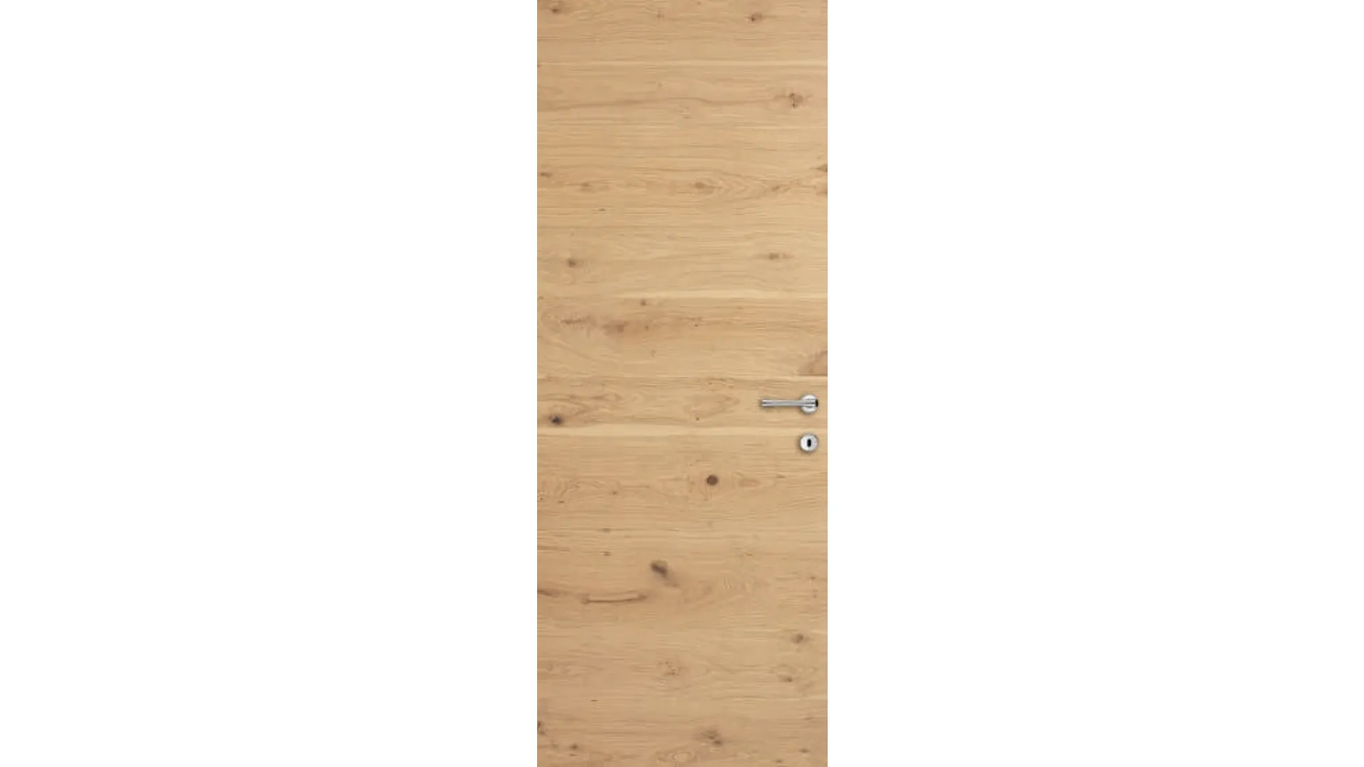 Doors in oak wood knot flush with the wall
