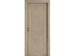 Hinged door complete with case