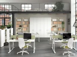 OFFICE U12 - OPERATIONAL