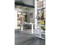 OFFICE U12 - OPERATIONAL