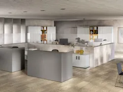 OFFICE U13 - RECEPTION