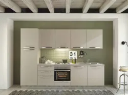 Modern kitchen complete with electromagnetics.