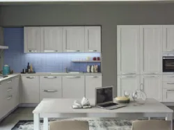 Modern corner kitchen with built-in appliance columns